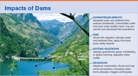 effect of dams